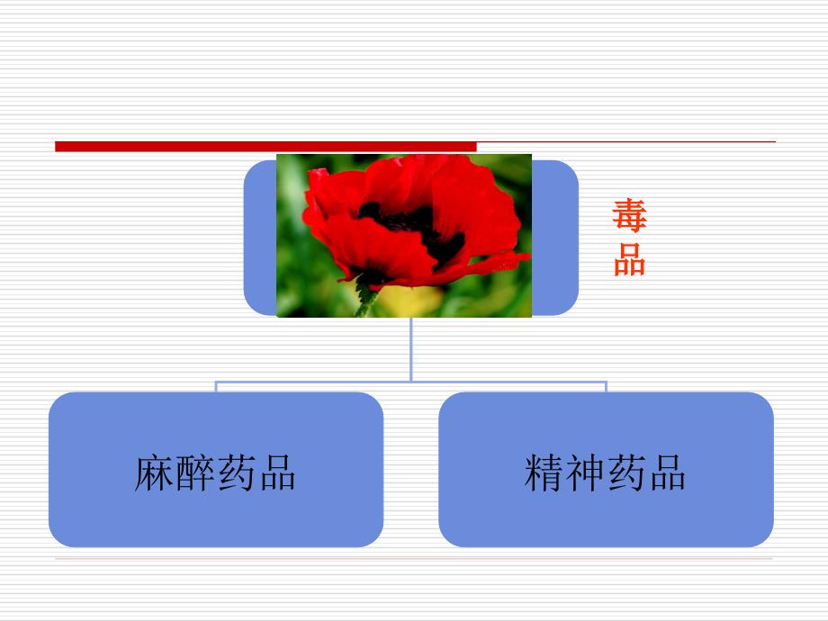 麻 醉 药品、精神药品培训课件_第2页