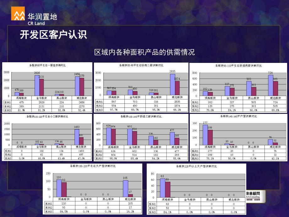 伟业顾问——-华润520提报(客户篇)_第3页