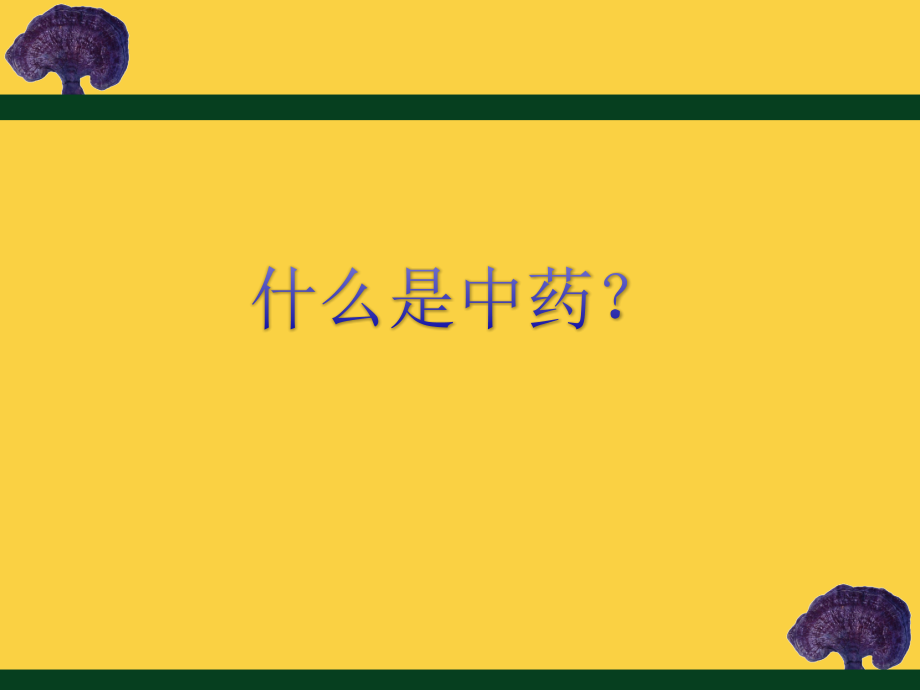 教案1-4中药学基础概论_第3页