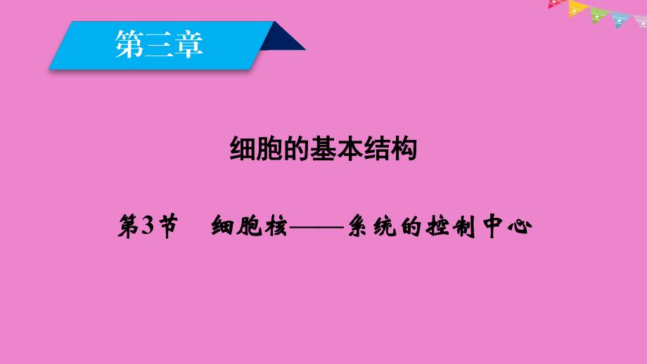 2019版高中生物 第三章 细胞的基本结构 第3节 细胞核——系统的控制中心课件 新人教版必修1_第2页