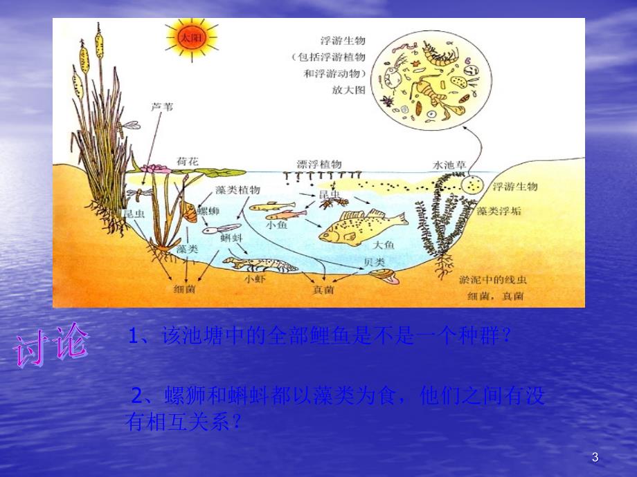 人教版教学课件人教版必修三第四章第三节群落的结构_第3页