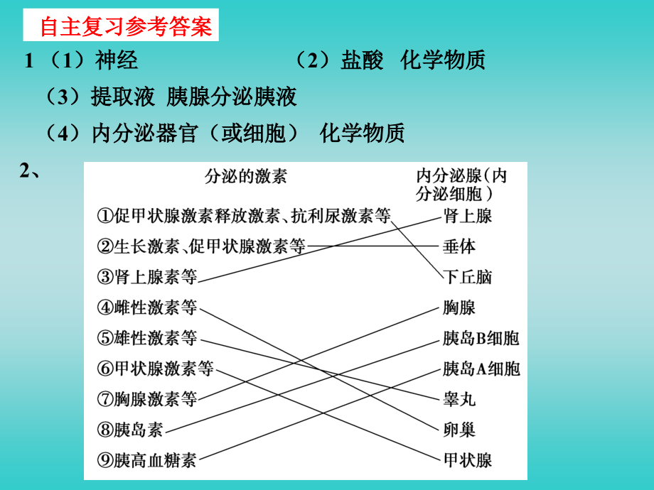 通过激素调节、神经调节一激素调节关系 一轮复习_第3页