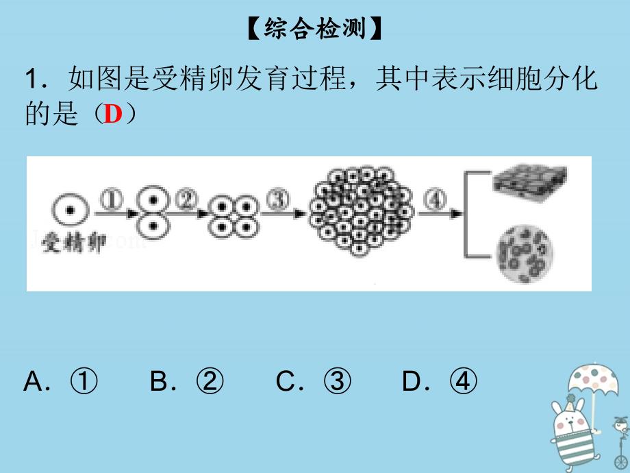 2018年七年级生物上册 第2单元 第4章 生物体的结构层次综合检测课件 （新版）北师大版_第2页