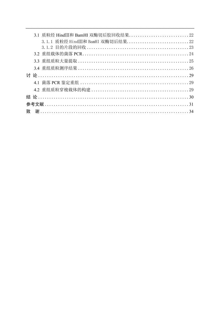 靶向mrp1基因prnat-h1461以及shuttle-rfp重组质粒表达载体构建_毕业论文_第5页