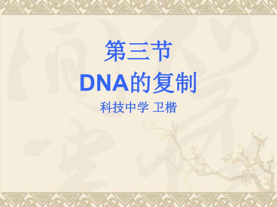 高一生物dna复制3_第1页