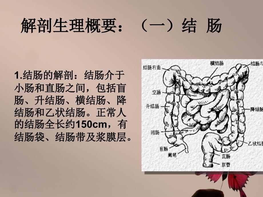 结直肠疾病病人护理_第3页