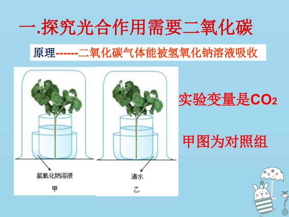 八年级生物上册 第三单元 第三章 第二节光合作用的原料课件 （新版）冀教版_第4页