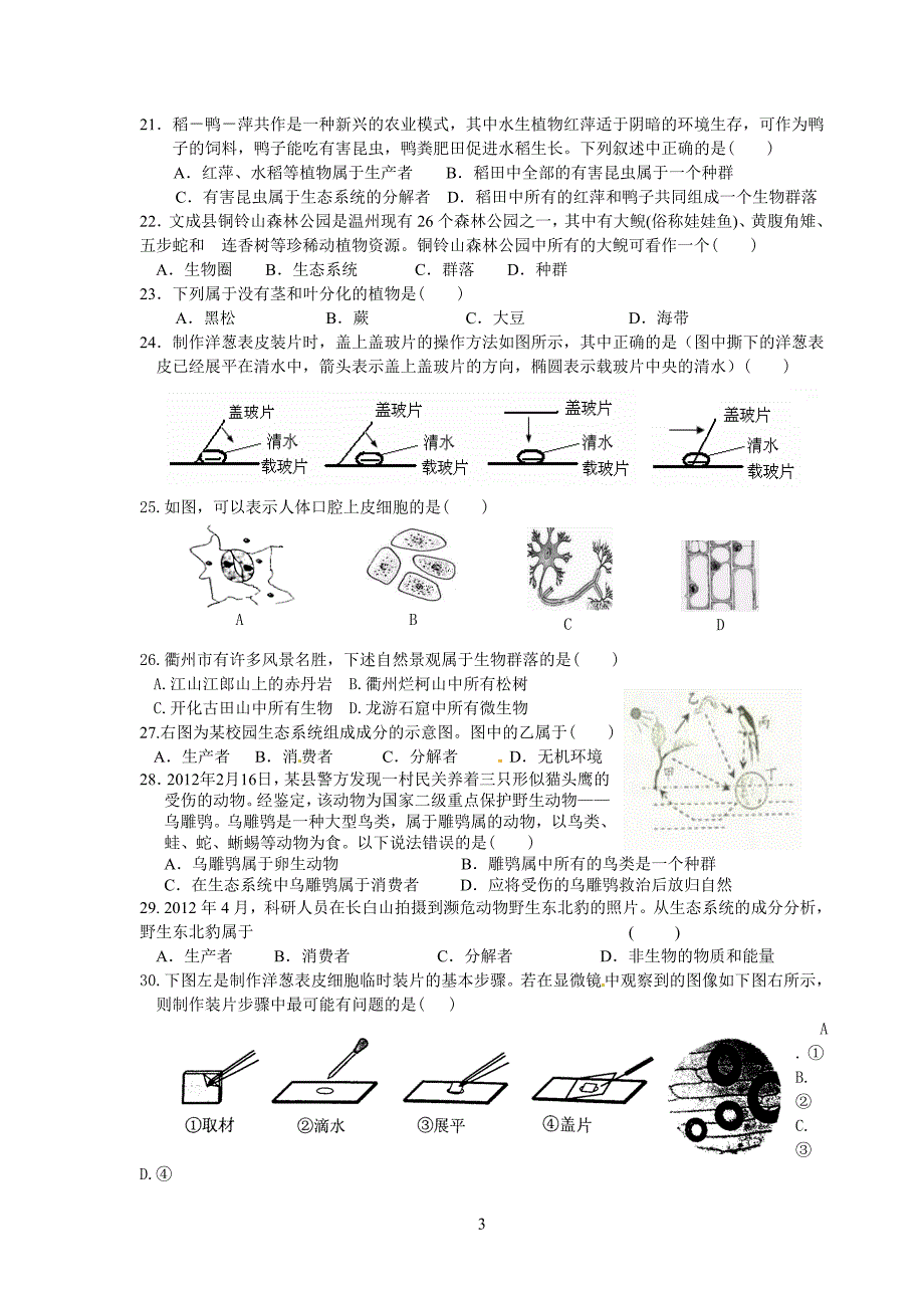 生命系统的构成层次(修正)_第3页