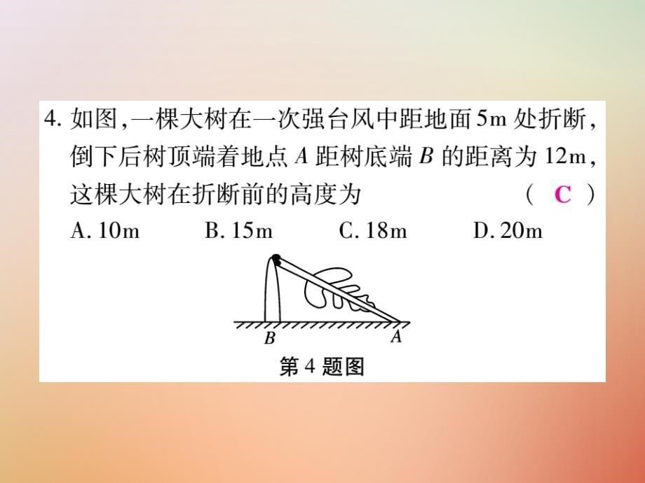 2018秋八年级数学上册第14章勾股定理检测卷课件新版华东师大版_第5页