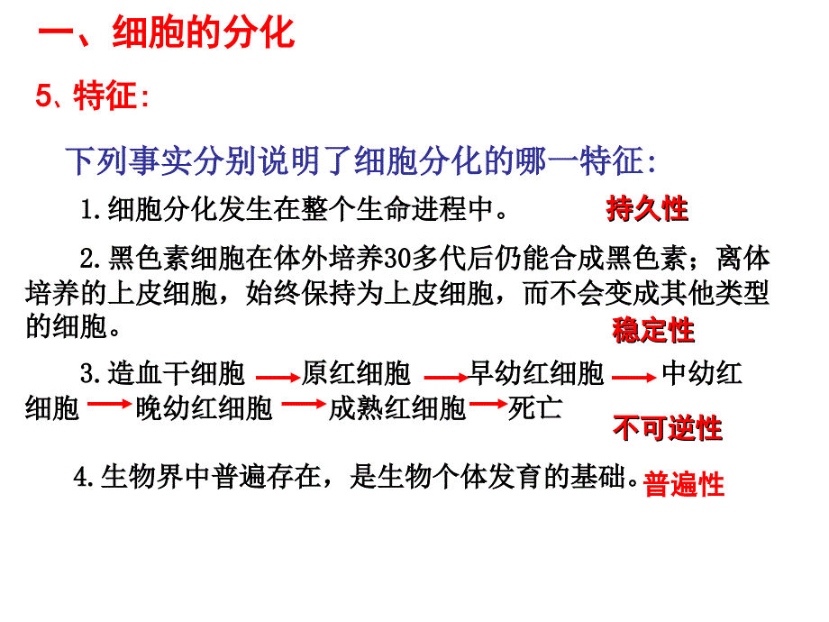 细胞分化、衰老、凋亡和癌变课件_第4页