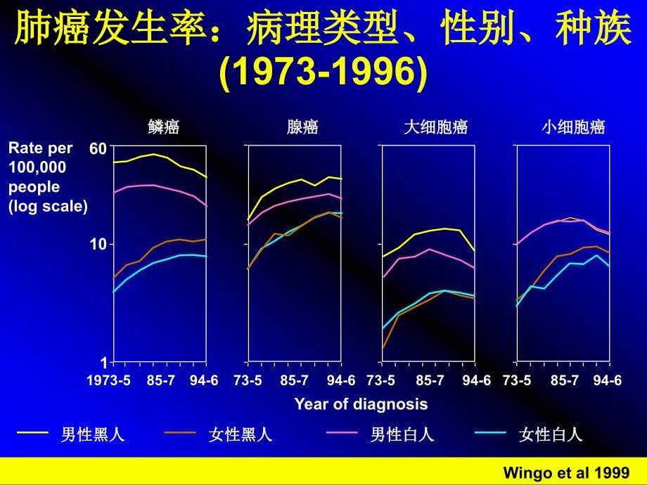 肺癌课件-(精)_第5页