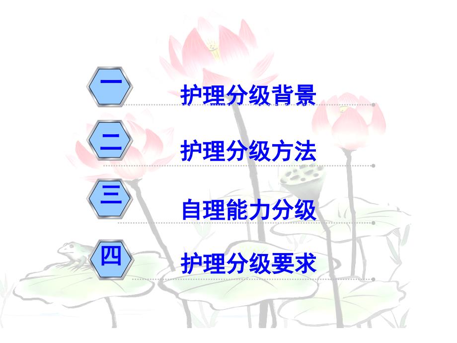 《护理分级 》解读_第3页