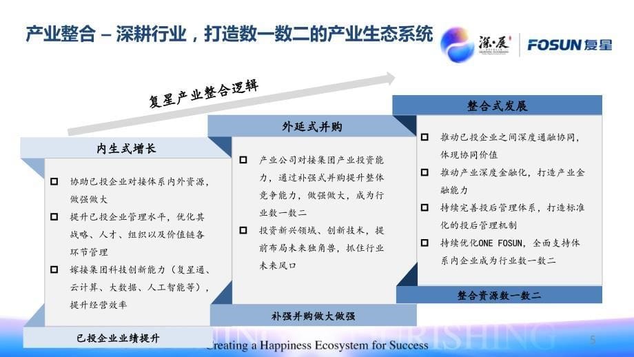 2017年复星集团战略重点_第5页