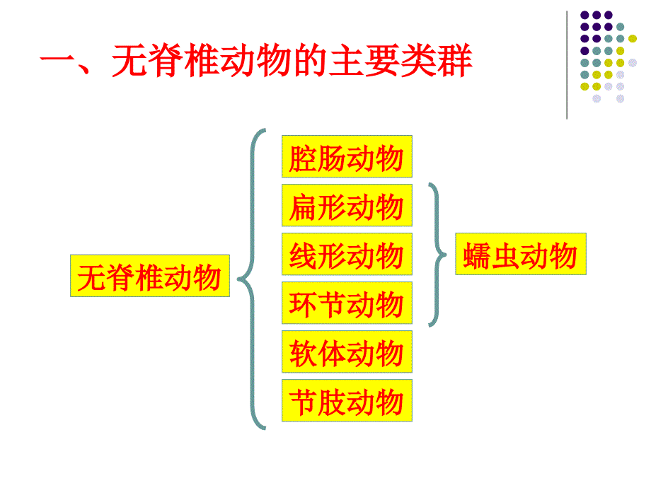 生物圈中动物(济南版七年级上册)_第3页