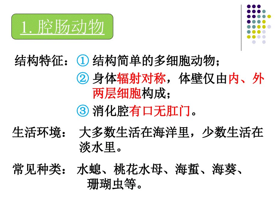 生物圈中动物(济南版七年级上册)_第4页