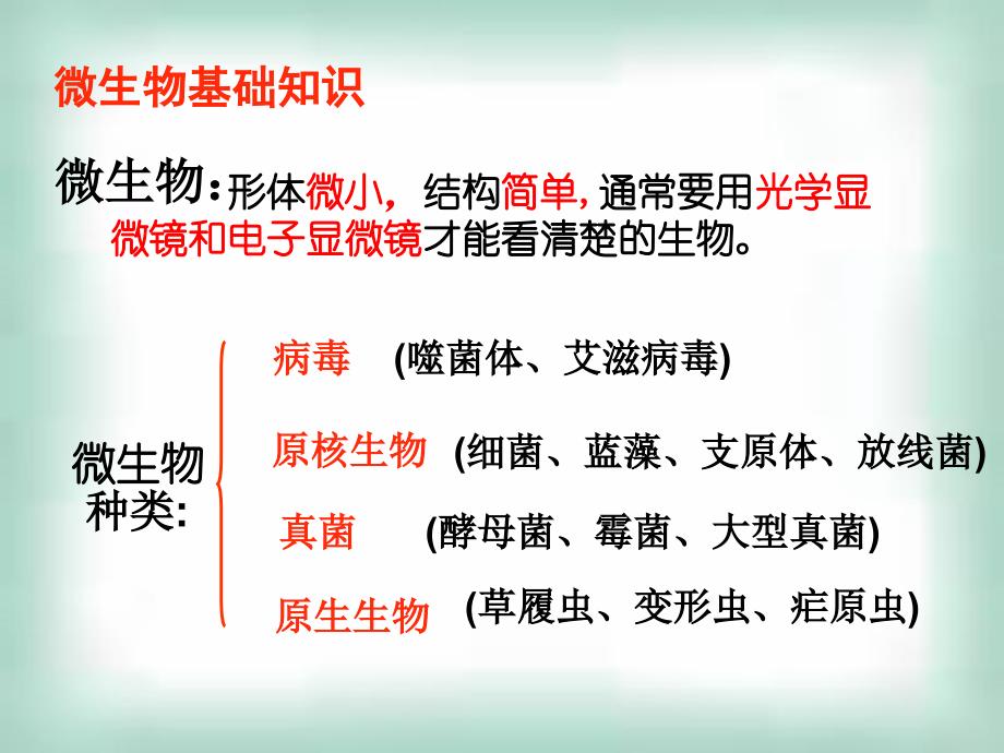 课题1 微生物的实验培养(上课)_第2页