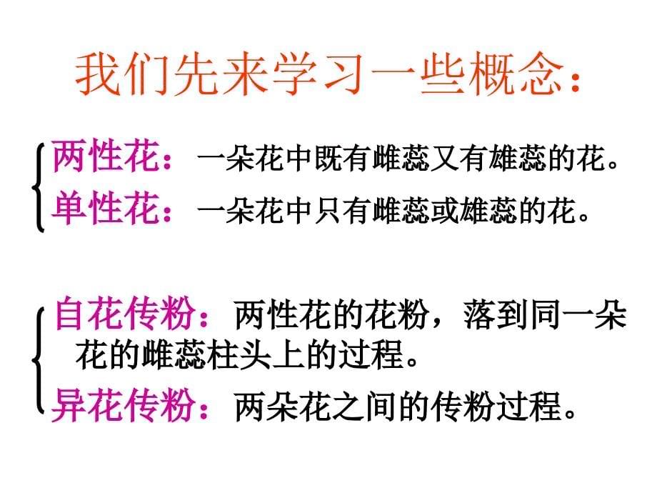 人教版高中生物必修二-1.1 孟德尔豌豆杂交实验(一) 课件 (共32张) (1)_第5页