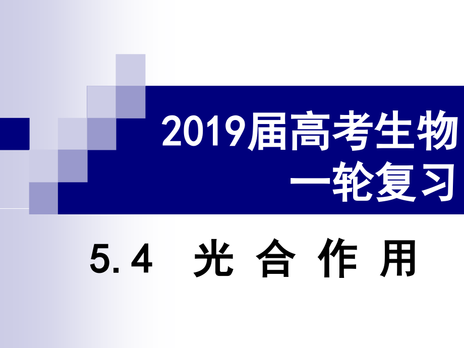 2019届高考生物一轮复习-第11讲-光合作用_第1页