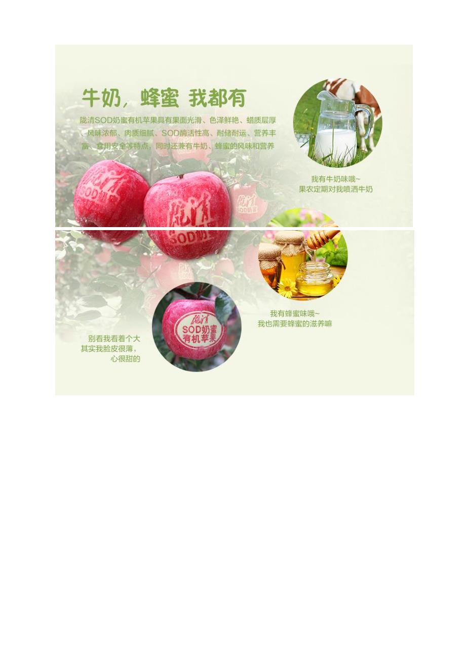 集食惠精选产品：陇清sod奶蜜有机苹果二级礼盒装 果径90mm 12枚_第3页