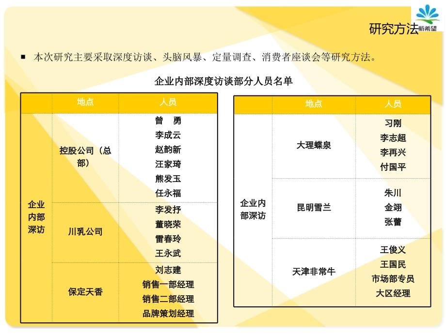 新希望乳业品牌咨询项目终期报告_第5页