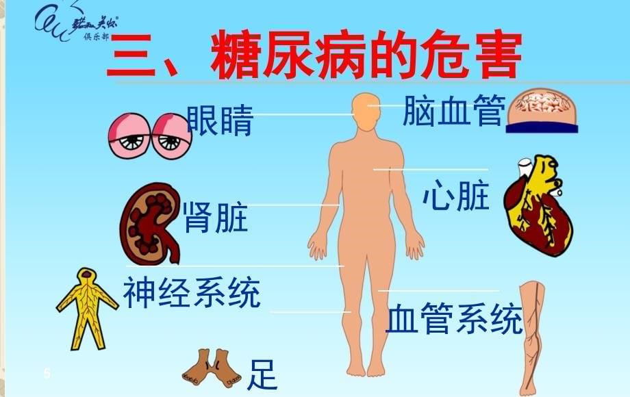 2012糖尿病健康教育ppt_1_第5页