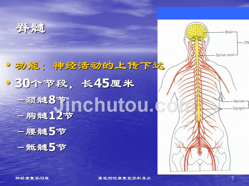 脊髓损伤-神经康复学习班_第3页