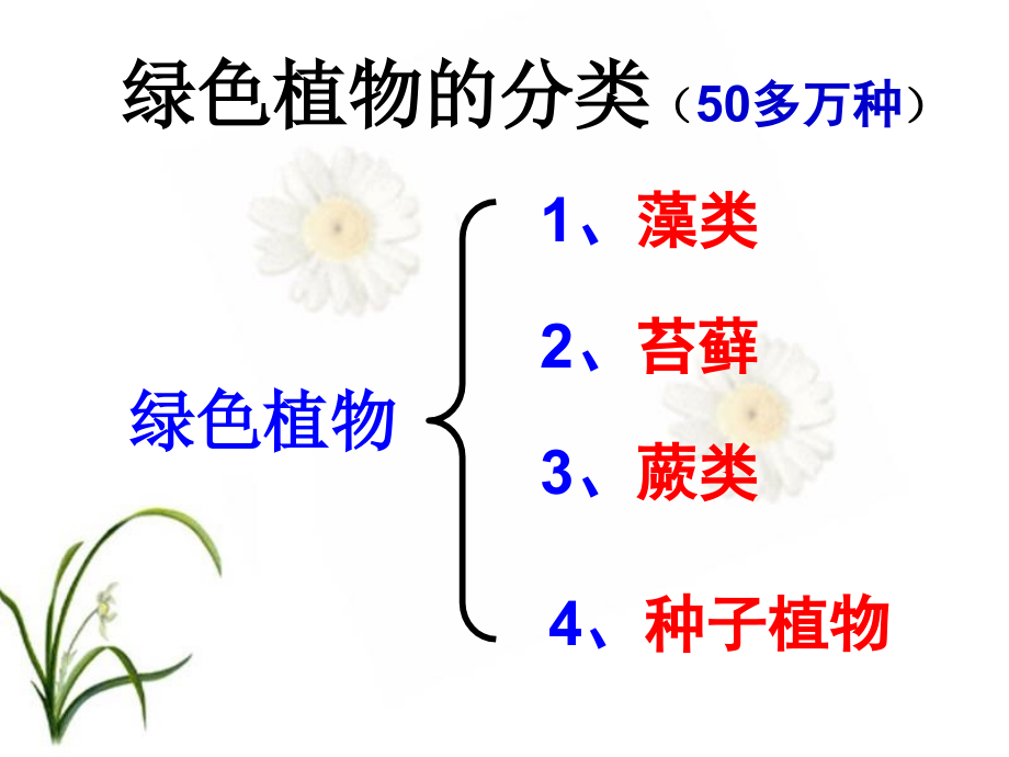 藻类。苔藓和蕨类植物2_第4页