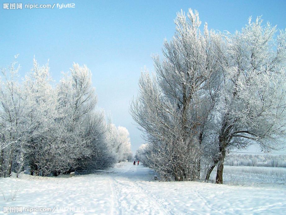 部编教材一年级《雪地里的小画家》优秀--完整课件ppt_第3页