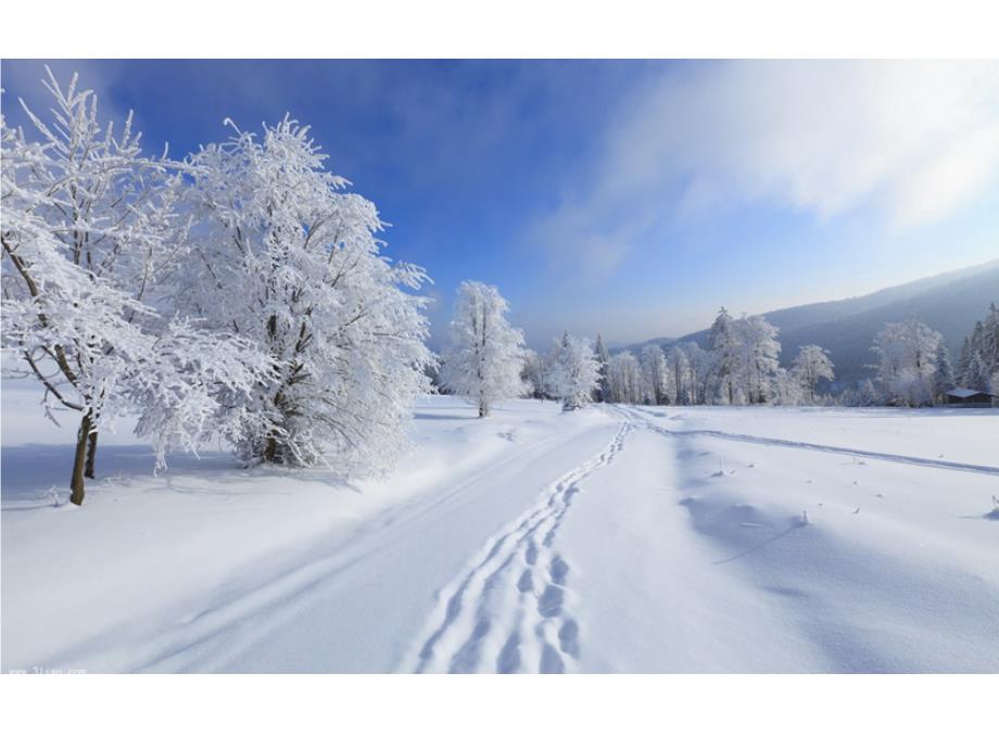 部编教材一年级《雪地里的小画家》优秀--完整课件ppt_第4页