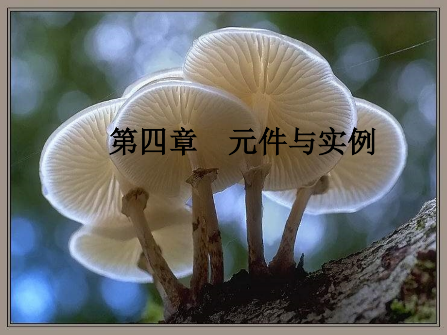 课件-第四章_第1页