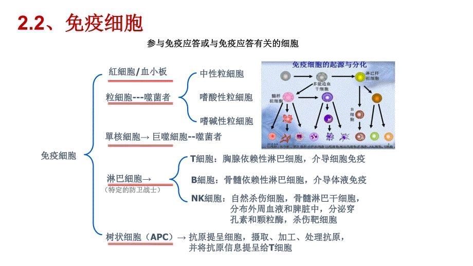 温经通络调理技术对免疫功能影响_第5页