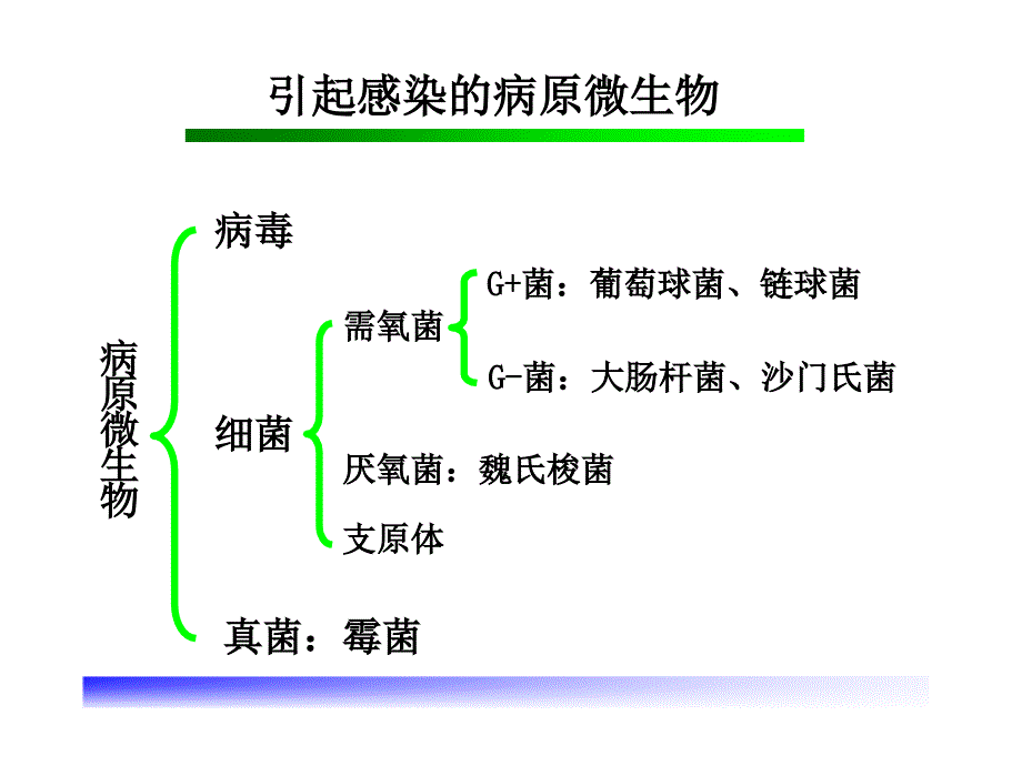 抗微生物药分类与合理使用_第3页