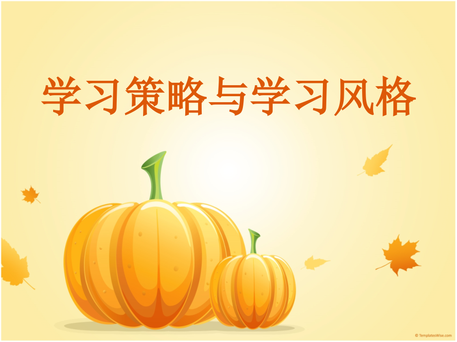 学习策略及风格_第1页