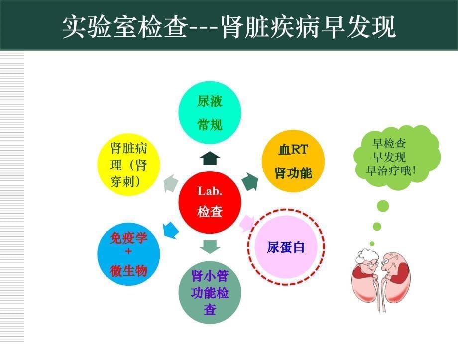 尿液检验流程与结果报告-李智_第5页