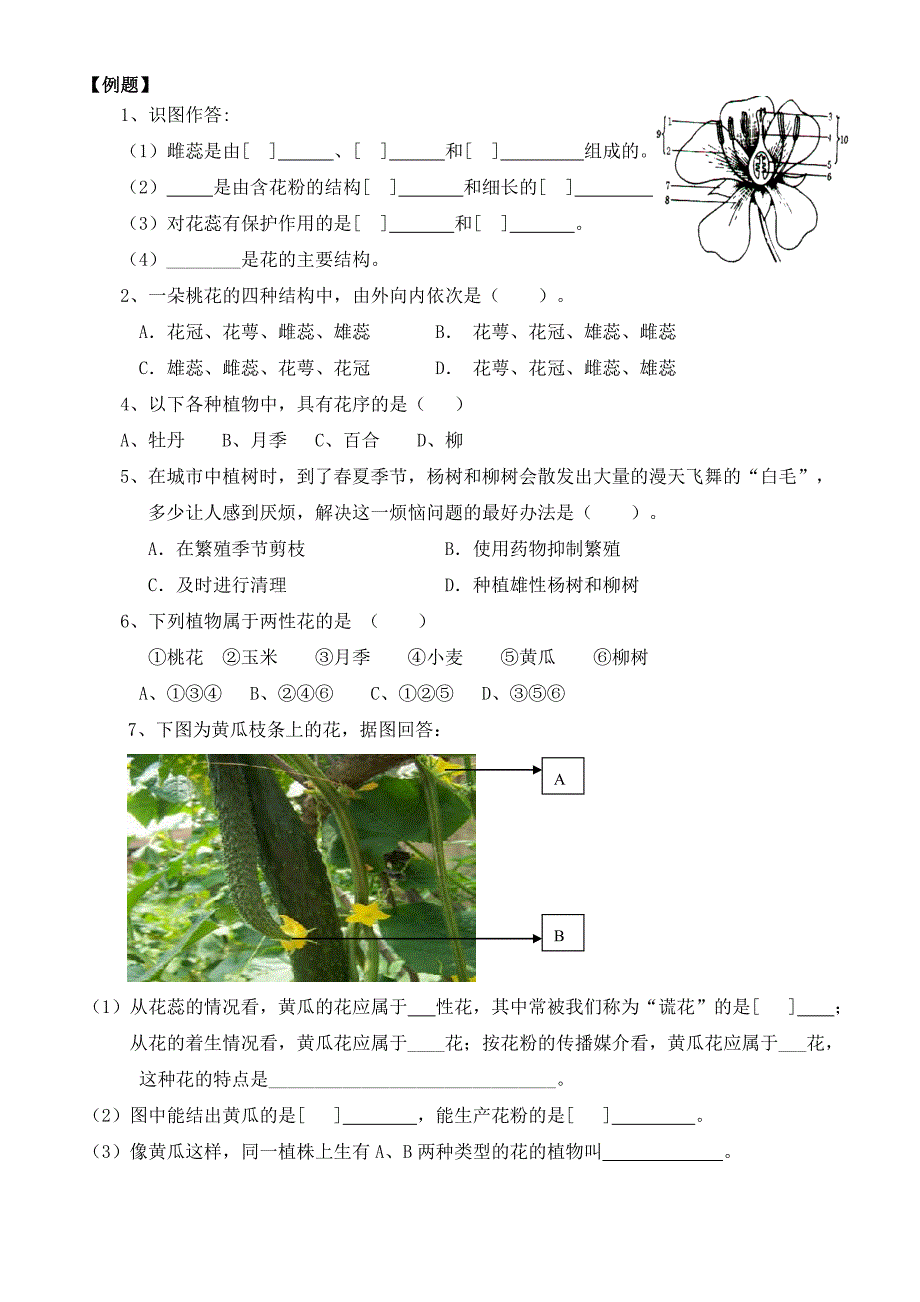 济南版八年级上册生物第一章  绿色开花植物的一生复习知识点_第2页