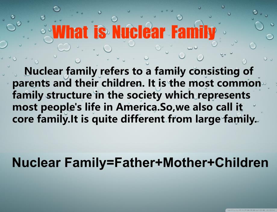 nuclear-family---另有配套讲稿_第2页