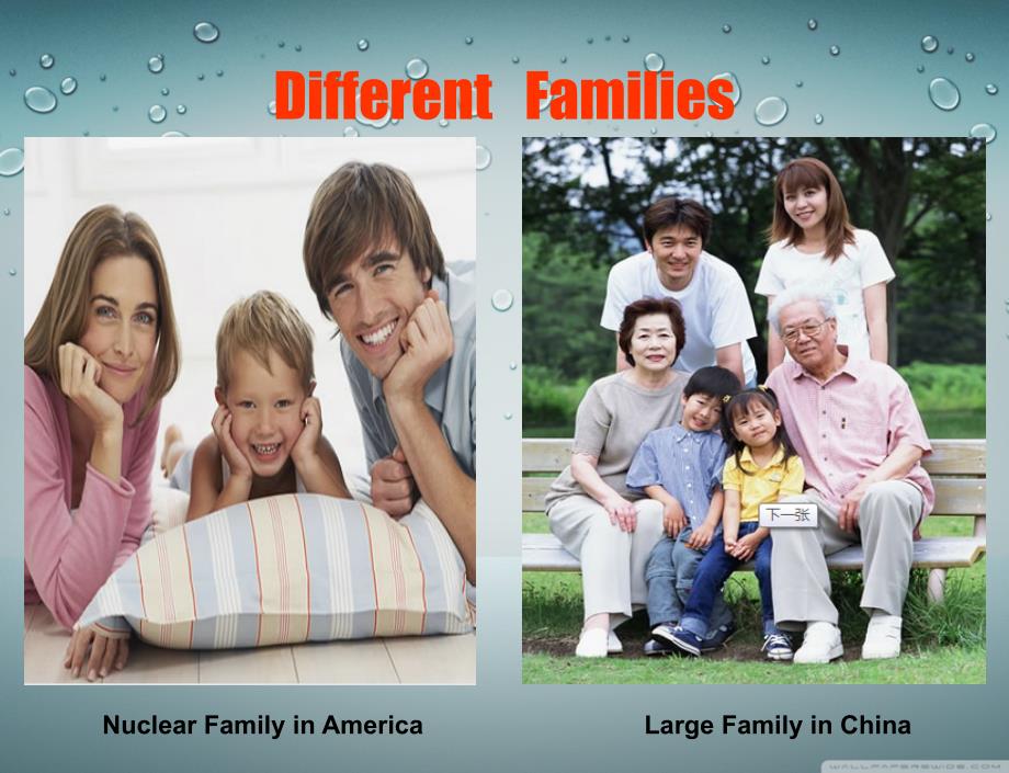 nuclear-family---另有配套讲稿_第3页