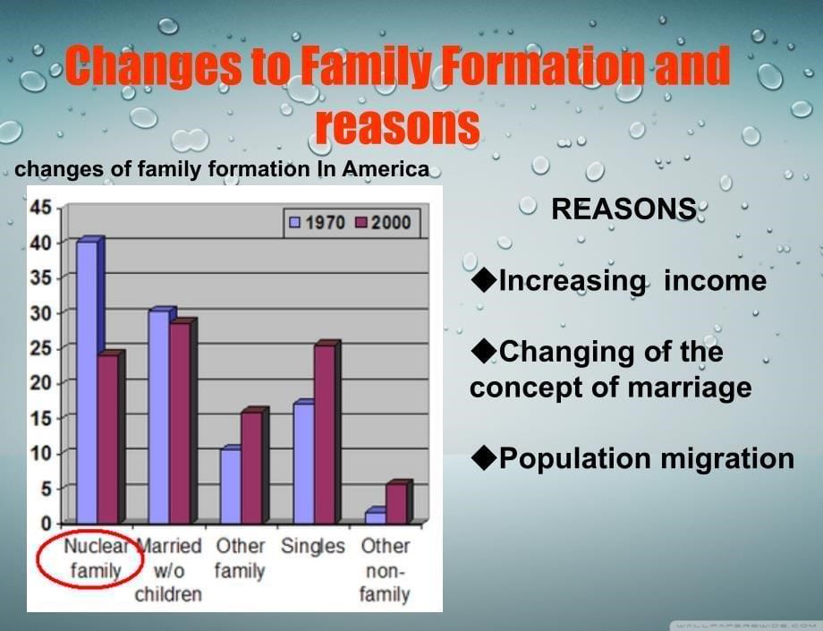 nuclear-family---另有配套讲稿_第5页