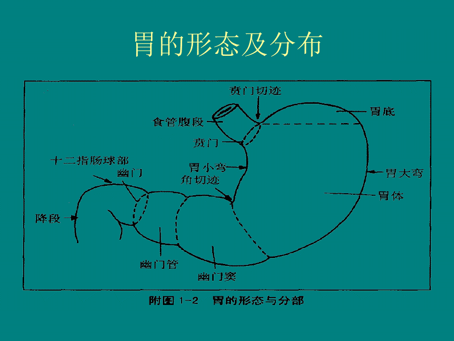 ok上消化道穿孔护理_第3页