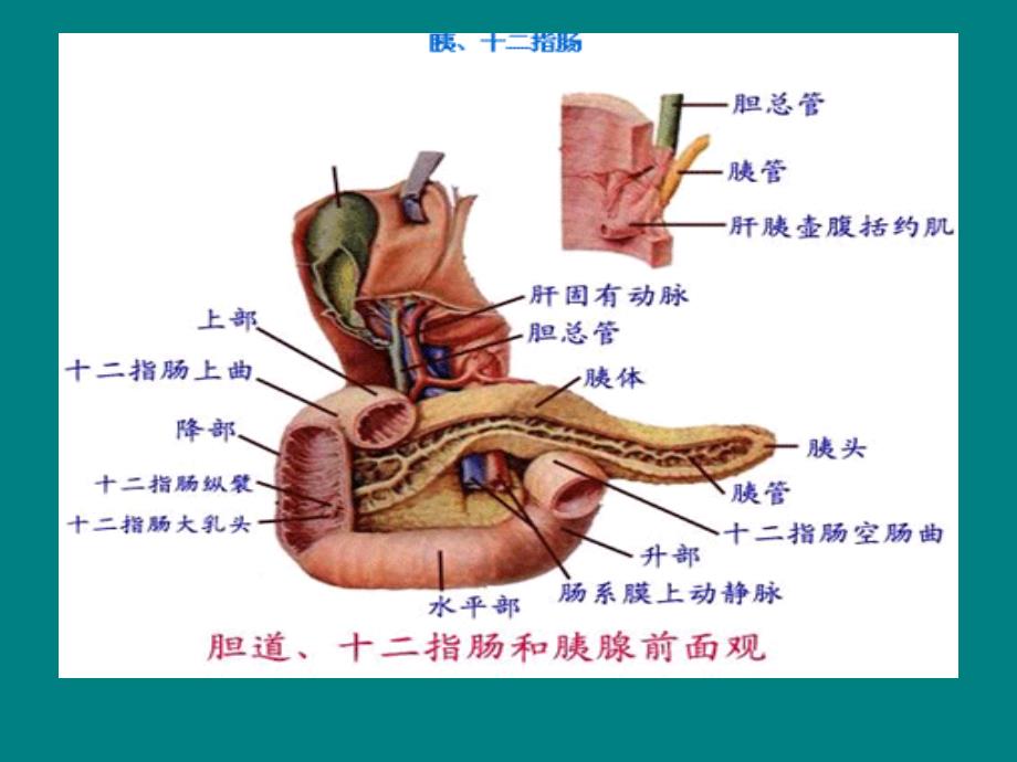 ok上消化道穿孔护理_第4页