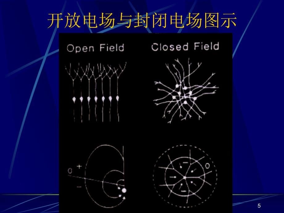 erp心理学资料_第5页