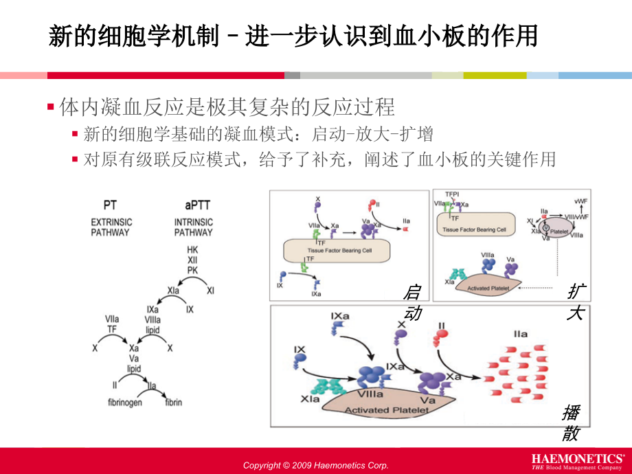 血栓弹力图临床应用介绍-全院_第4页