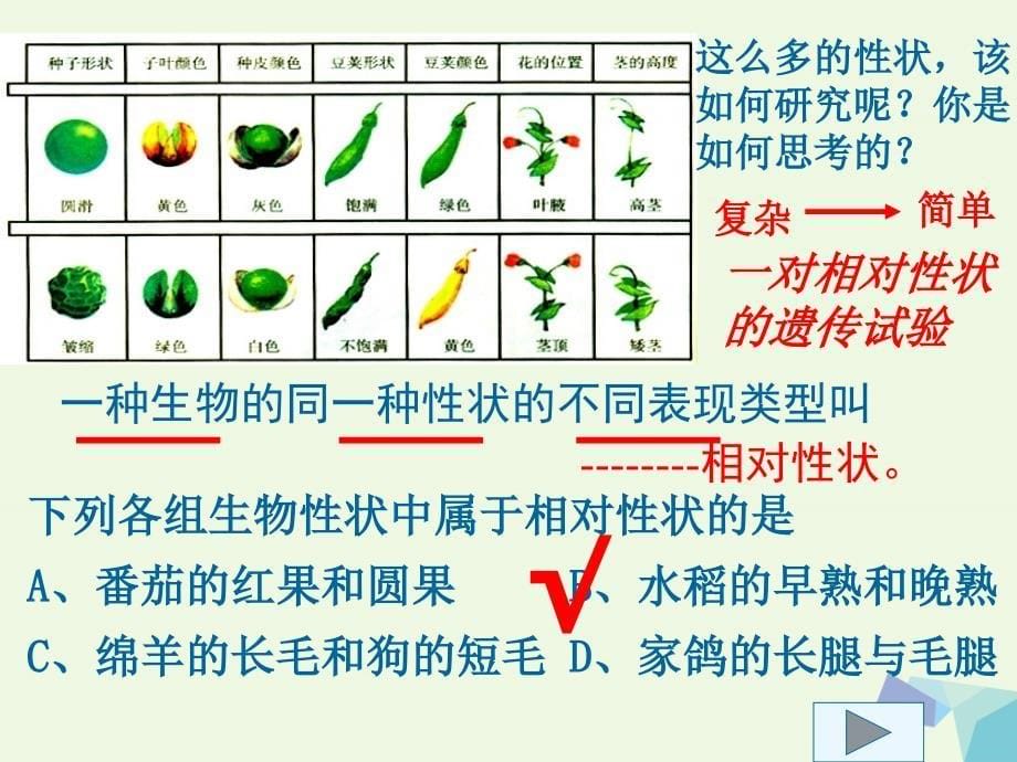 高中生物 第一章 遗传因子的发现 1.1 孟德尔的豌豆杂交实验（一）课件 新人教版必修2_第5页