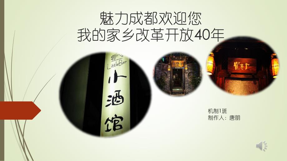 我的家乡改革开放40年——唐朋_第1页