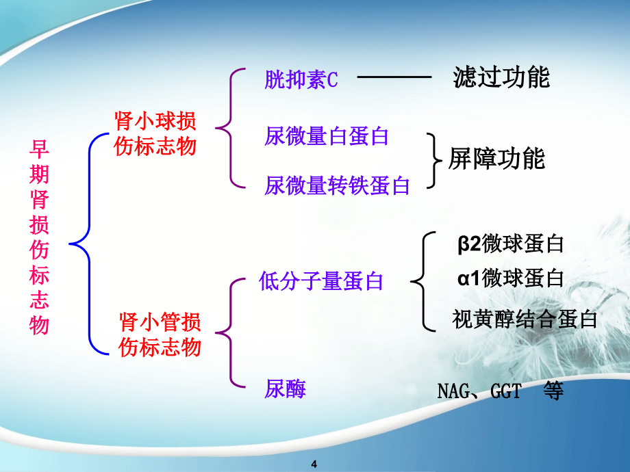 特色检验肾损八项_第4页