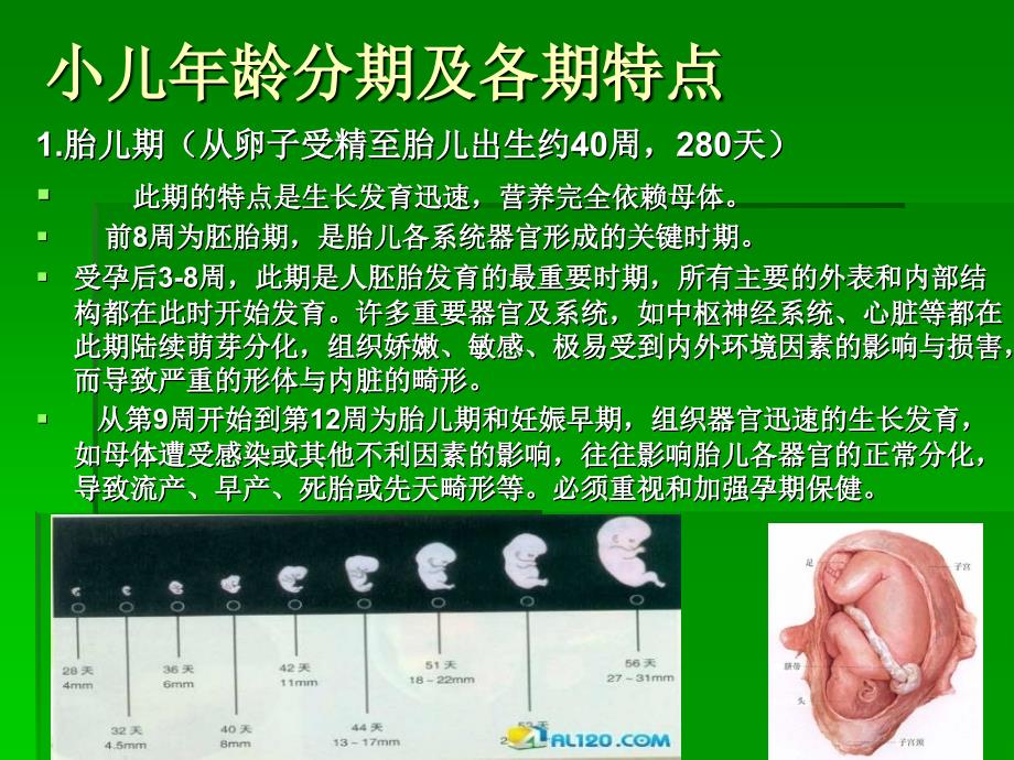 小儿生长发育讲稿ppt课件_第2页