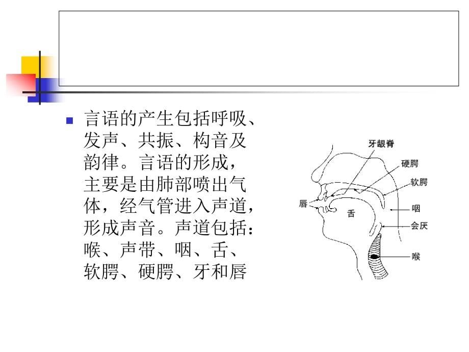 言语与吞咽功能评定_第5页