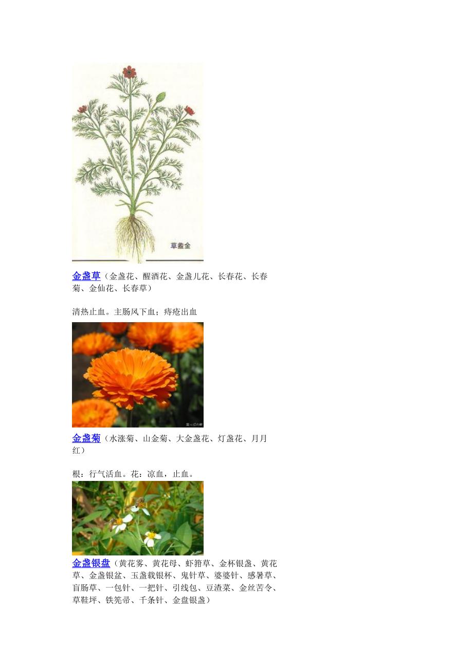 3000种中医药材第1101-1200种_第3页