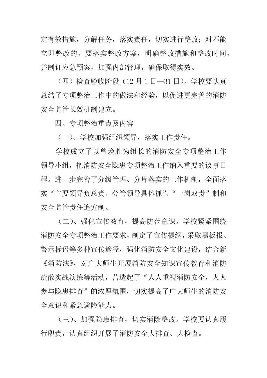 商务局安全消防专项整治工作总结汇报_第5页