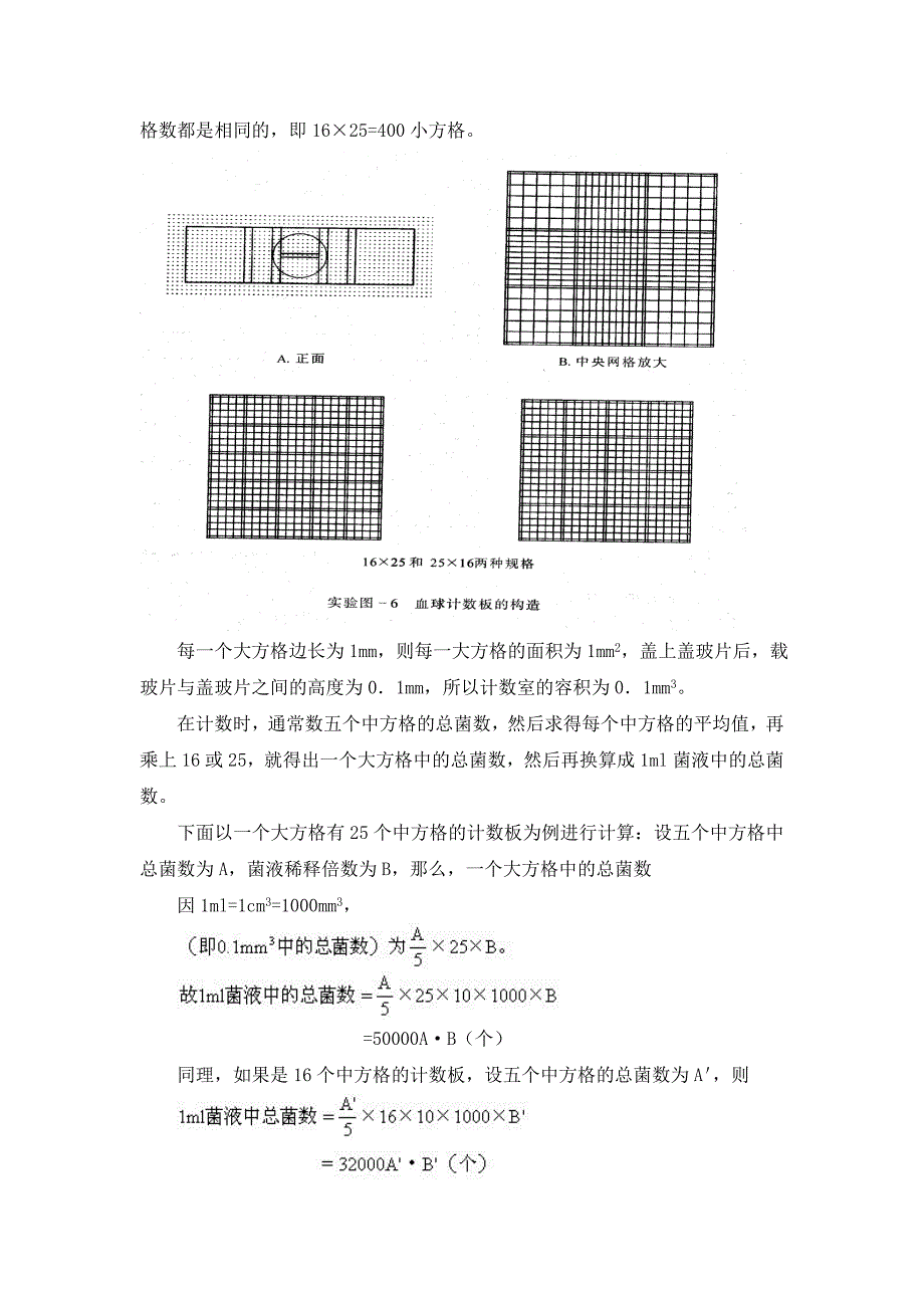 微生物的计数——血球计数板法_第2页